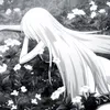 kaiomis_