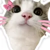 jxrng_