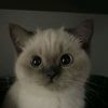 its_zahra000