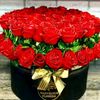 muslimaxon0780