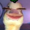ayuraaaawelll