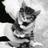 nazarova_ll7
