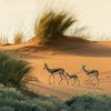 abdelkader_za3em
