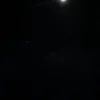 kingpinz14