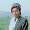 usmanali44334