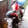 timbul698