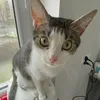jarrrka