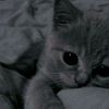 yulya_shh_