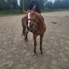 crazy_pony_benito