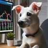 Mtrader
