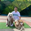 congthao_19
