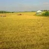 vnh.vn.nguyn