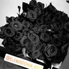 elenusechka_4757