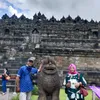 sugiantogenteng