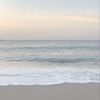 peonyandbeach