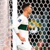 fariselsayed09