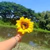 vay_mar425