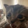 alanstuffs