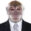 eliasjajaschon