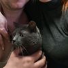 Мы и наш Кот