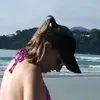 carlaamaralp184