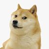adognameddoge