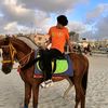 hqnzasehsgamil.com8