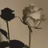hpllf_h