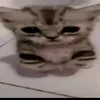 aooo_potencia
