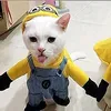 attaccapanniverde