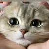 amyschka95