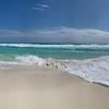 mauimermaidwaves