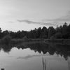 12345_user47