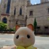 imrubyl32