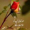 diljale_45