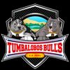 tumbalobos.bulls