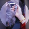 _.fatima26_