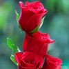 madeeha347