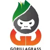 gorillagrass