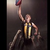 hawthorn_hawks2