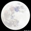 moon_suns123