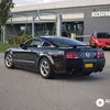 enzovisscher