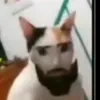 mannnutdd