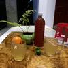 vuacuaxukhongvua