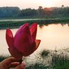 hsu_myat_wait