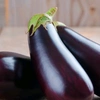 eggplant10nasubi