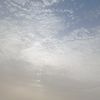 reemsh28