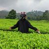 wahabjr3