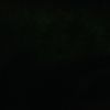 rattul_