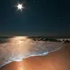 romawy10